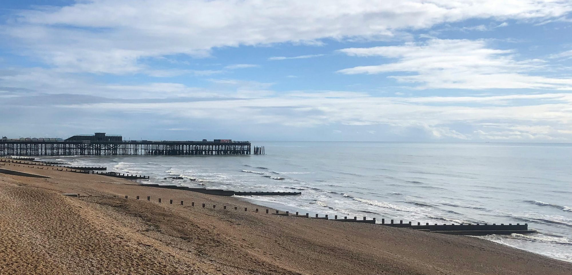 Pest Control Hastings