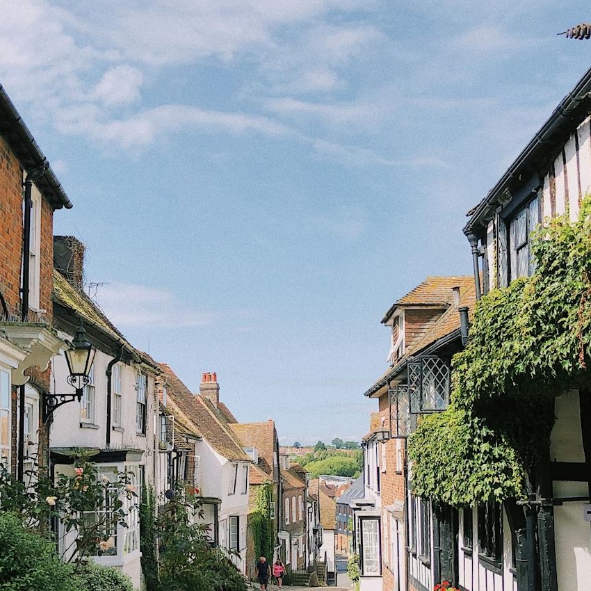 Pest Control Heathfield