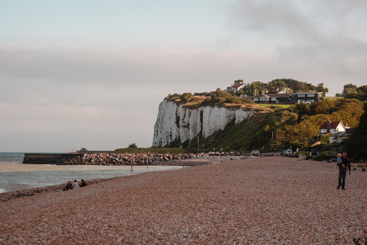 Pest Control Chatham