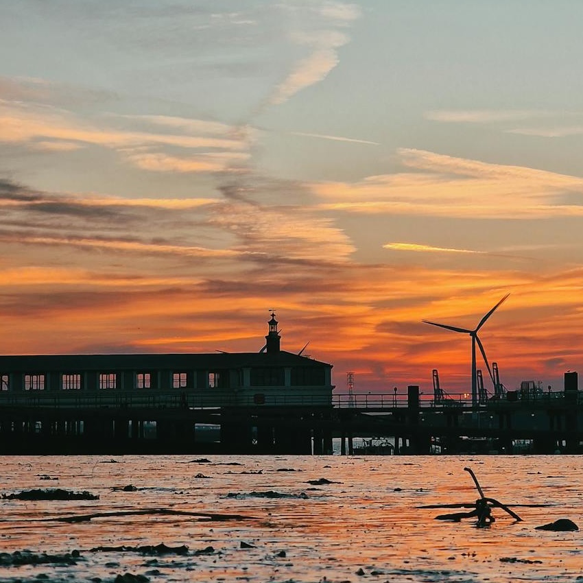 Pest Control Gravesend