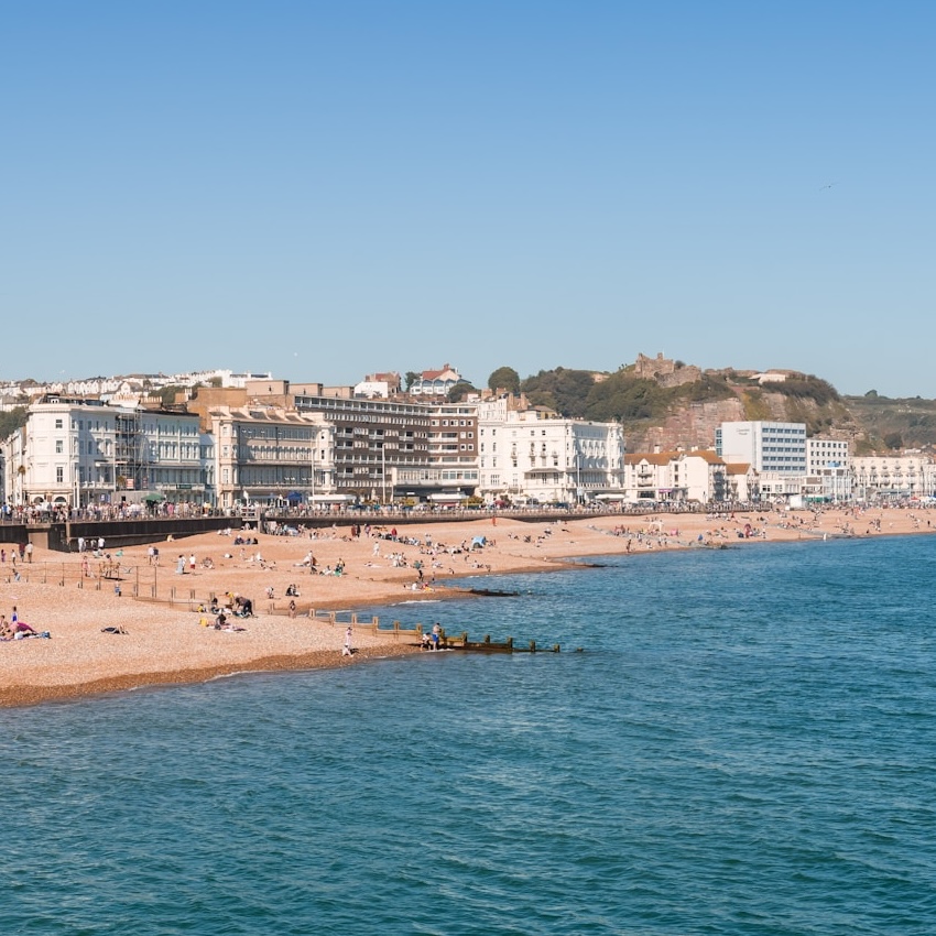 Pest Control Hastings